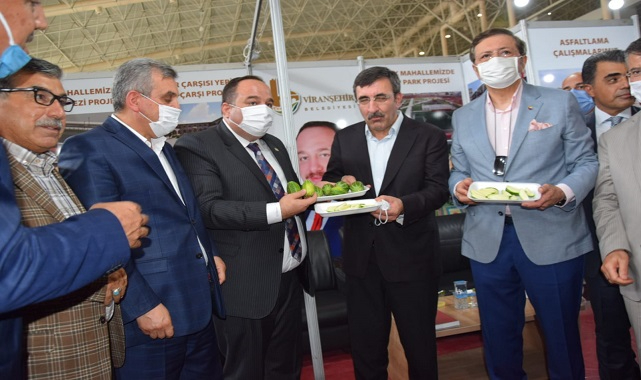 Viranşehir Belediyesi Bölgesel Kalkınma Fuarın’da