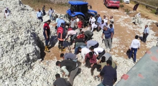 Akçakale'de pamuk yangını! Tarlada toplanan pamuk alev aldı