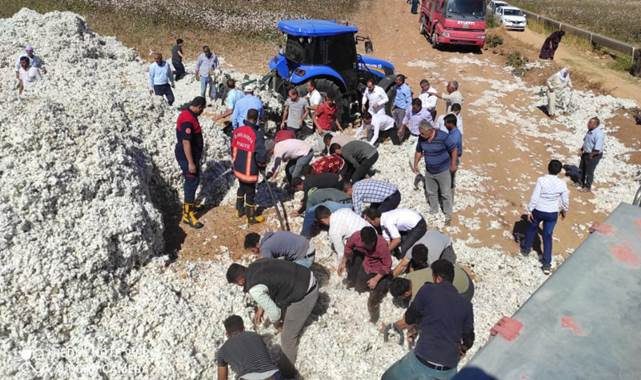 Akçakale'de pamuk yangını! Tarlada toplanan pamuk alev aldı