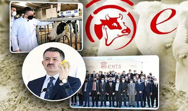 Bakan Pakdemirli: 1 milyon daha fazla buzağı elde edebiliriz