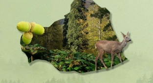 Bakan Pakdemirli açıkladı: Urfa'da seferberlik ilan edildi