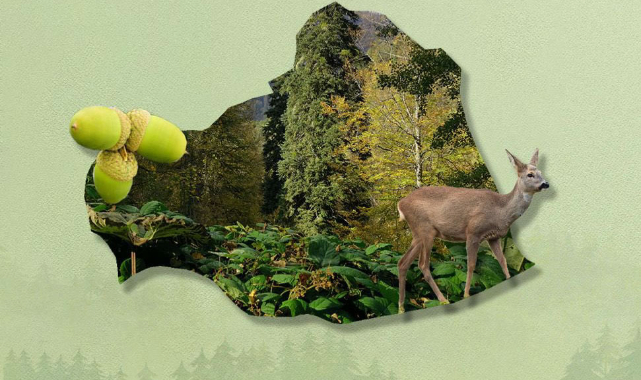 Bakan Pakdemirli açıkladı: Urfa'da seferberlik ilan edildi