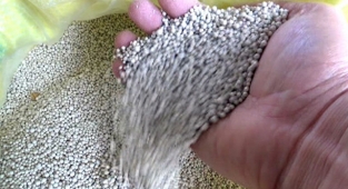 Gübre fiyatlarının  önü alınamıyor