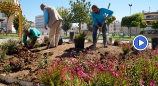 Haliliye’deki parklar yenileniyor