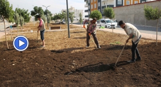 Haliliye’deki parklara bakım yapılıyor