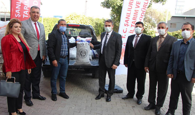 Şanlıurfa'da 375 ton tohumluk dağıtıldı