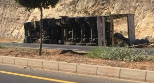 Şanlıurfa’da buğday yüklü kamyon devrildi