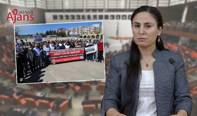 Şanlıurfa’da işten çıkarılan işçiler TBMM gündeminde
