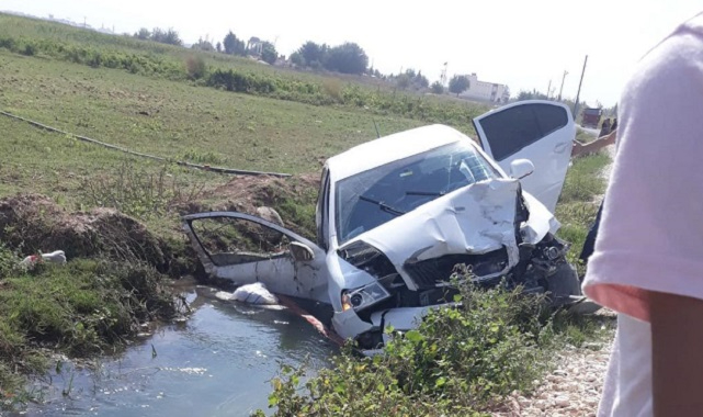 Suruç’ta otomobil ile at arabası çarpıştı