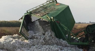 Suruç'ta pamuk biçerdöveri devrildi