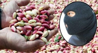 TİGEM'de hırsızlık! Bekçiler müdahale etti