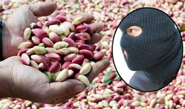 TİGEM'de hırsızlık! Bekçiler müdahale etti