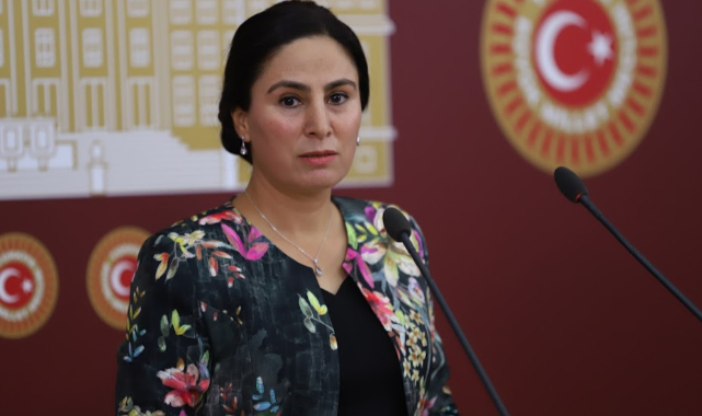 Vekil Sürücü: Hiberbalik Cihazı neden yok?