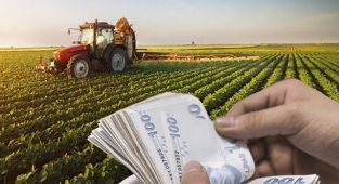 Bakan Pakdemirli açıkladı: O destekler hesaplara yatmaya başladı