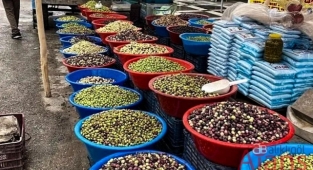 Bakan Pakdemirli: Zeytin rekoltesi yüksek olacak