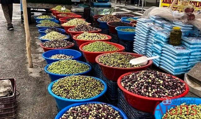 Bakan Pakdemirli: Zeytin rekoltesi yüksek olacak
