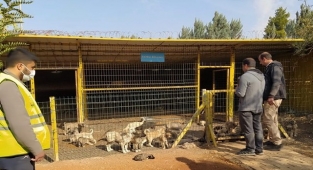 DKMP, Urfa'daki hayvan barınağını denetledi