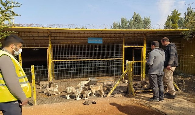 DKMP, Urfa'daki hayvan barınağını denetledi