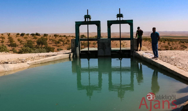 DSİ kararını açıkladı! Ovalara su bırakılacak mı?