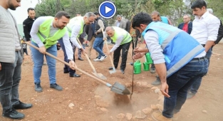 Eyyübiye'deki okullarda ağaçlandırma seferberliği başladı