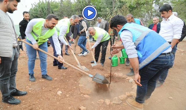 Eyyübiye'deki okullarda ağaçlandırma seferberliği başladı