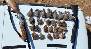 Kaçak avcılardan ele geçirilen silahlar ihale ile satılacak