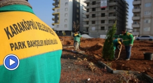 Karaköprü Belediyesi yeşil alan sayısını arttırıyor