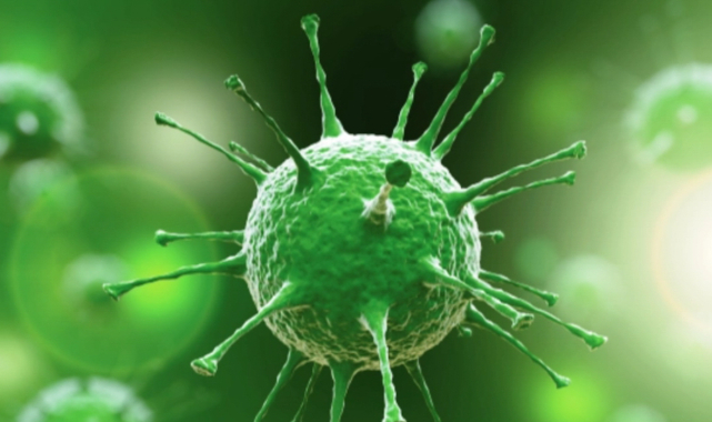 Koronavirüs tablosu açıklandı