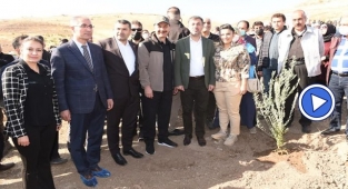Şanlıurfa’da binlerce fidan toprakla buluştu