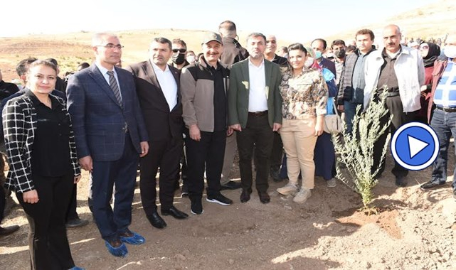 Şanlıurfa’da binlerce fidan toprakla buluştu