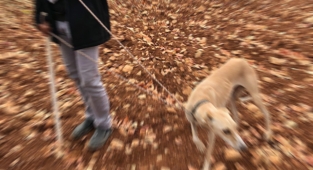 Şanlıurfa’da bir avcı hakkında işlem yapıldı