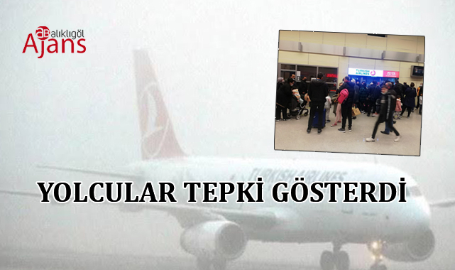 Şanlıurfa'da sis nedeniyle uçuş iptal edildi