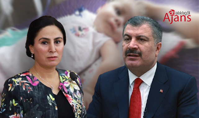 Şanlıurfa Vekili Sürücü Bakan Koca'ya sordu: Kaç bebek bekliyor?