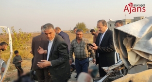 Tanal'dan Şanlıurfa milletvekili Özcan'a: Ölüm yolu için ne yaptınız?