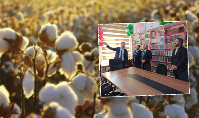 Tarladaki pamuk Şanlıurfa'da bir okula kütüphane oldu