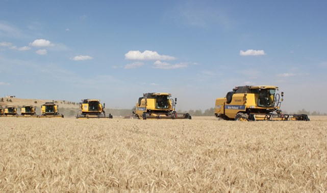 TİGEM buğday satmaya hazırlanıyor