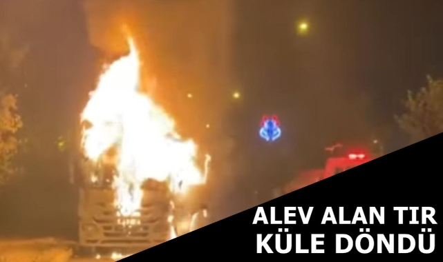 Urfa'da tır alev alev yandı
