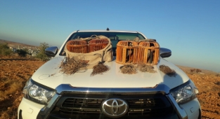 Urfa kırsalında kaçak avcılık operasyonu