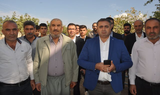 Varlık içinde yokluk yaşıyorlar! Hayvanlar susuzluktan ölüyor