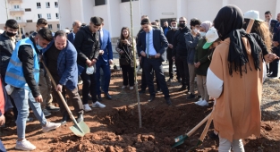 Viranşehir’de 2 bin fidan toprakla buluşuyor