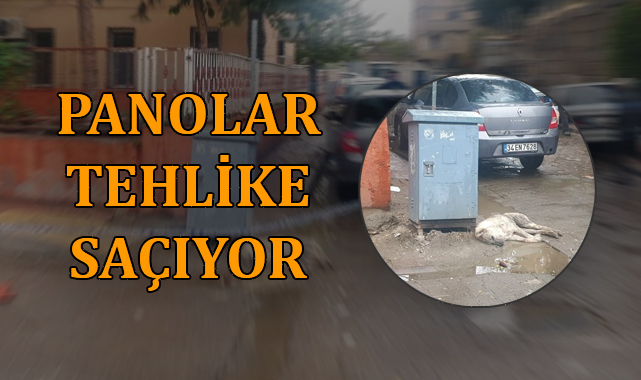 Viranşehir'de elektrik panosu 'can' aldı