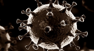 Yeni varyant türedi! Avrupa’yı korku sardı