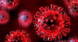 22 bin 556 yeni vaka tespit edildi