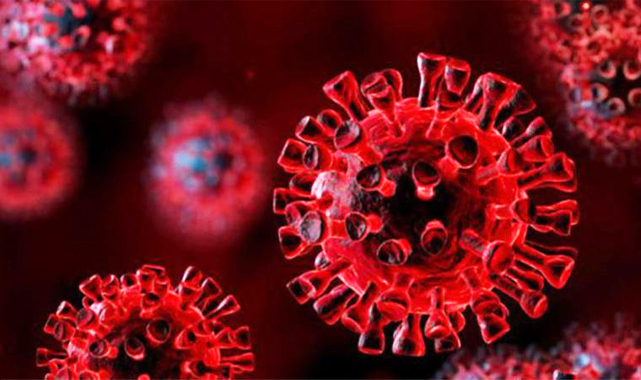 22 bin 556 yeni vaka tespit edildi