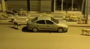 Adnan Sağlam: Camilere ulaşmaya çalışan vatandaşlar tedirgin