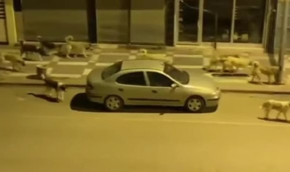 Adnan Sağlam: Camilere ulaşmaya çalışan vatandaşlar tedirgin