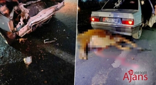 Akçakale yolunda feci kaza: Yaralılar var