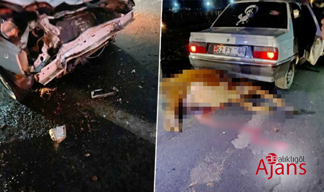 Akçakale yolunda feci kaza: Yaralılar var