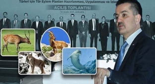 Bakan Pakdemirli: Yüzde 60'ı kaybedildi