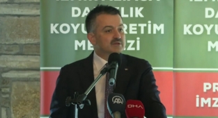 Bakandan destekleme açıklaması: Hesaplara yatmaya başladı